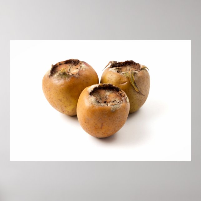 Poster Médaillé commun (Devant)