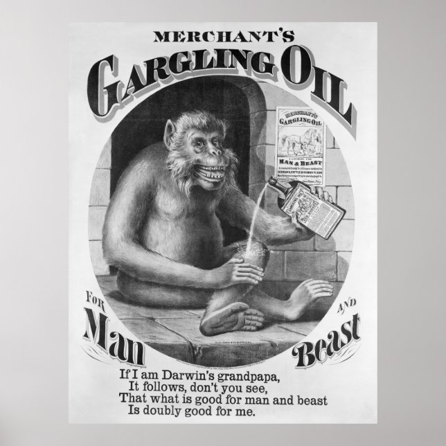 POSTER MÉDECINE SUR LES BREVETS D'HUILE DE GARGAGE 1869 (Devant)
