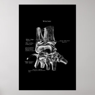 Poster Médicale Poster Poster Orthopédique Décor