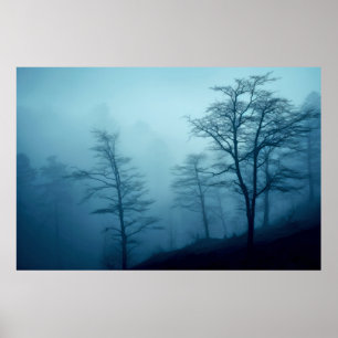 Poster Méditation du paysage forestier Calme serein