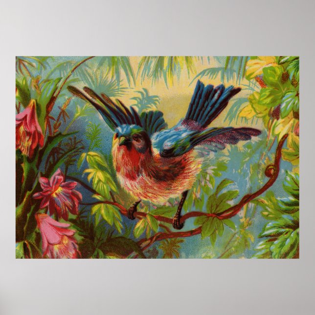 Poster médium de Bluebird d'été (Devant)