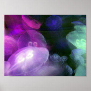 POSTER MÉDUSES