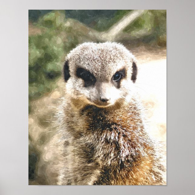 POSTER MEERKAT (Devant)