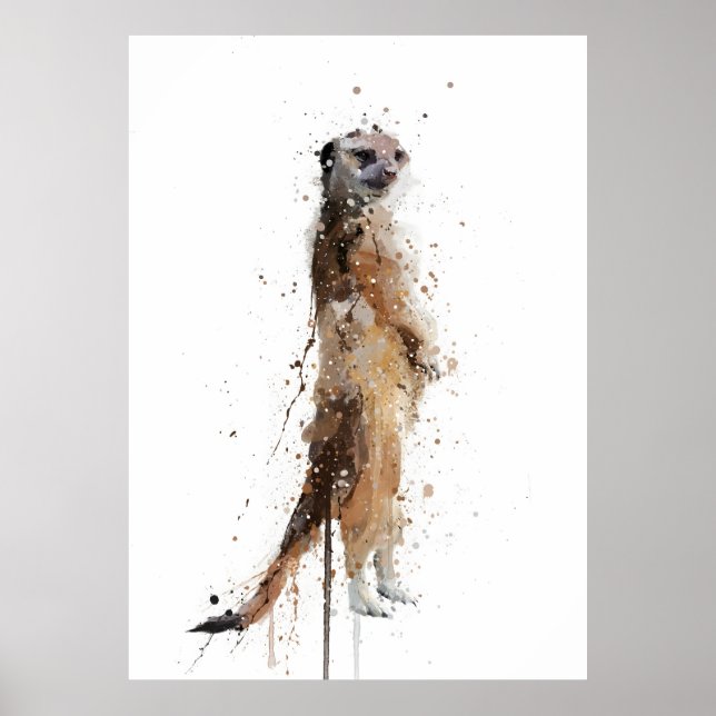 Poster Meerkat (Devant)