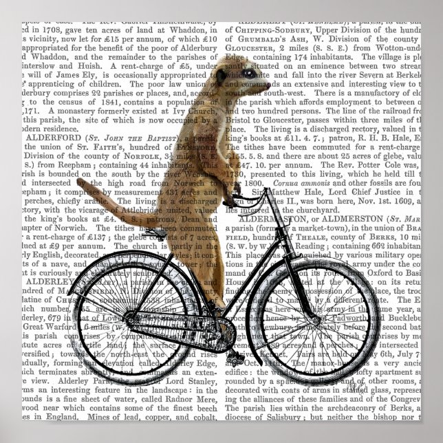 Poster Meerkat à vélo (Devant)