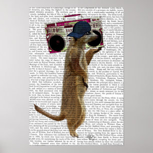 Poster Meerkat avec la sableuse de ghetto de caisson de