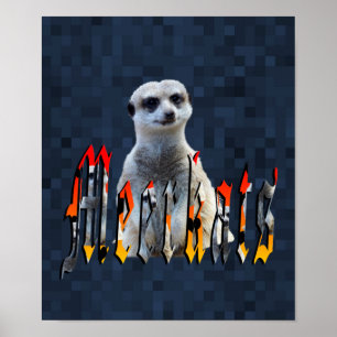 Poster Meerkat Avec Logo Meerkats,