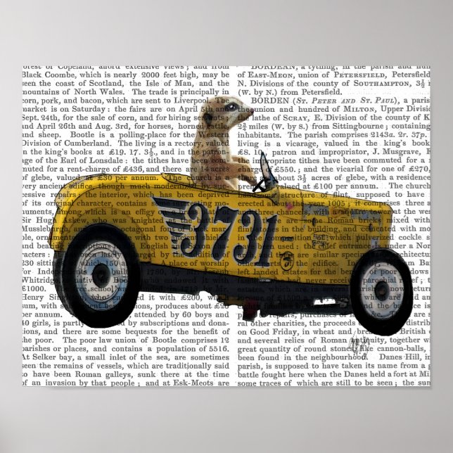 Poster Meerkat dans le Hot Rod (Devant)
