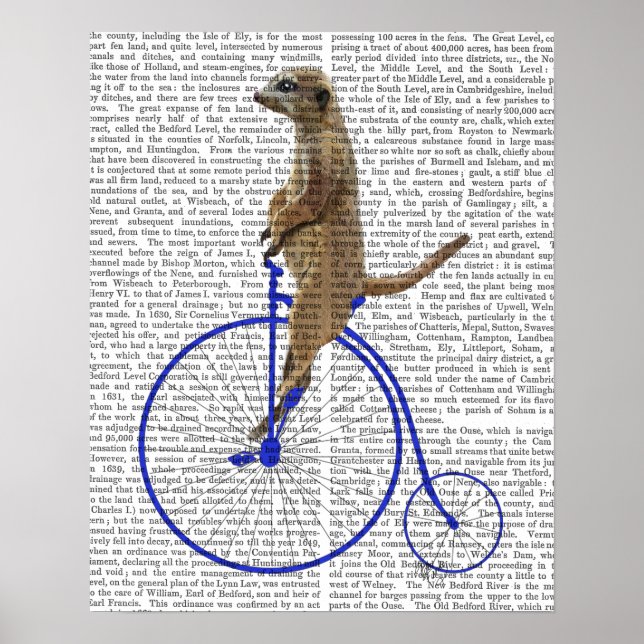 Poster Meerkat Sur Blue Penny Farthing (Devant)