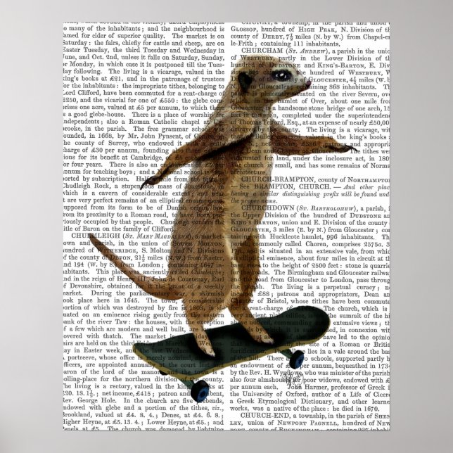 Poster Meerkat Sur Skateboard (Devant)