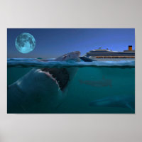 Megalodon