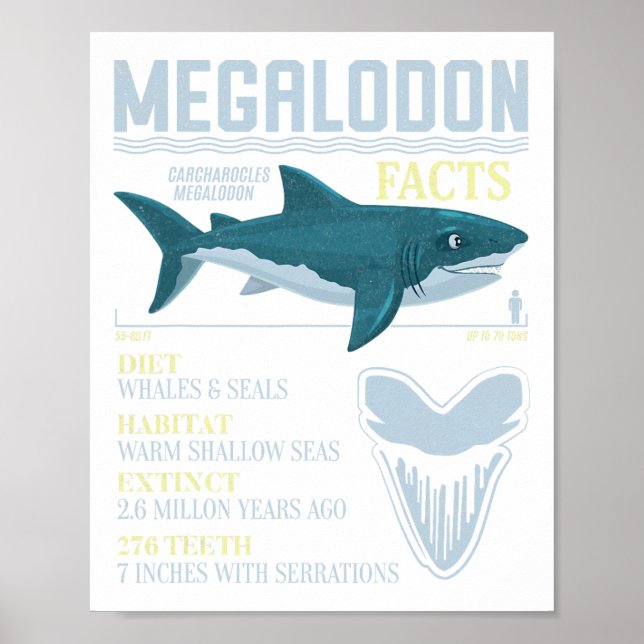 Poster Megalodon Faits Meg Préhistorique Requin Fossiles  (Devant)