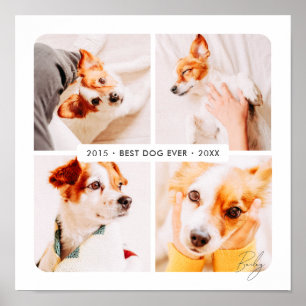 Poster Meilleur chien Memorial Collage photo moderne