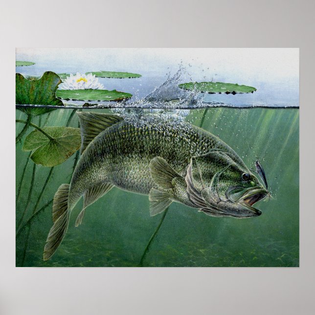 Poster Meilleur spectacle national 2010 de A. Hunter (Devant)