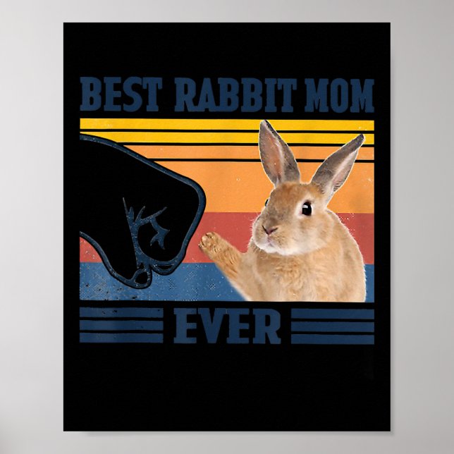 Poster Meilleure maman lapin toujours cadeau de la fête d (Devant)