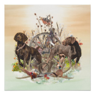 Poster Meilleures heures de la journée à la chasse, GSP