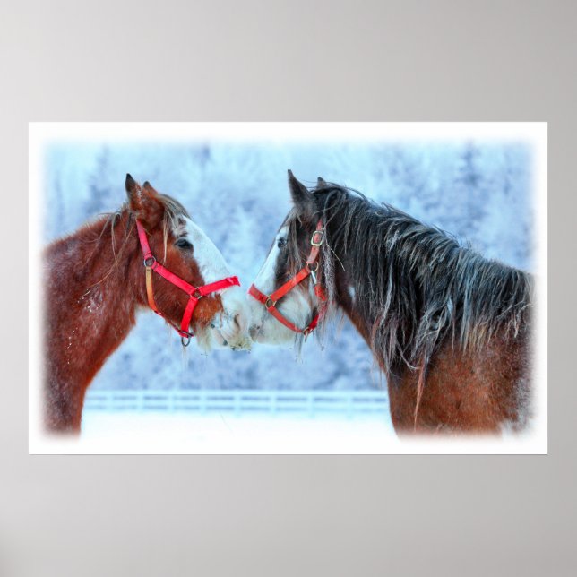 Poster Meilleurs amis (Devant)