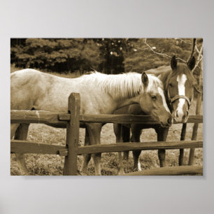 Poster Meilleurs amis