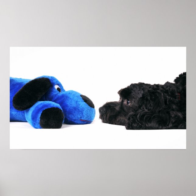 Poster Meilleurs amis (Devant)