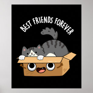 Poster Meilleurs Amis Pour Toujours Drôle Chat Et Boîte P