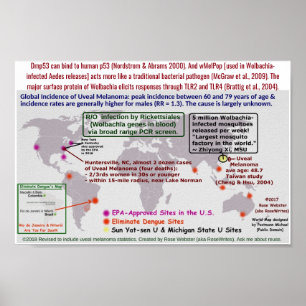 Poster Mélanome Uveal ? Rickettsiales de R/O (Wolbachia)