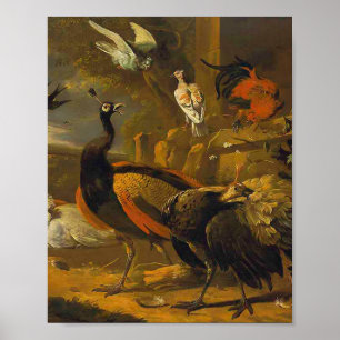 Poster Melchior d'Hondecoeter - Oiseaux dans un parc