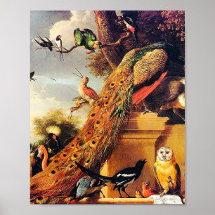 Poster Melchior d'Hondécoeter - Oiseaux dans un parc
