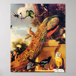 Poster Melchior d'Hondécoeter - Oiseaux dans un parc