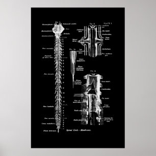 Poster Membrane de l'art anatomique de la colonne vertébr