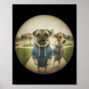Poster Mème cool de chien pug fumant sur un porche à gran