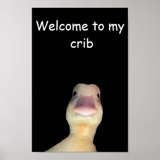 Poster Mème de canard drôle : Bienvenue à My Crib Duck