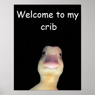 Poster Mème de canard drôle : Bienvenue dans mon antre de