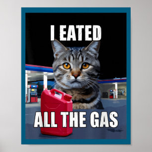 Poster Mème de chat drôle j'ai mangé voulait tout le gaz