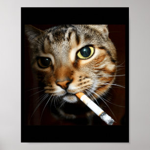 Poster Mème de chat qui fume drôle Humour noir Chat sarca