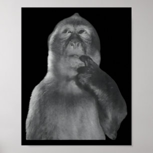 Poster Mème de singe pensant drôle, singe curieux Brainro