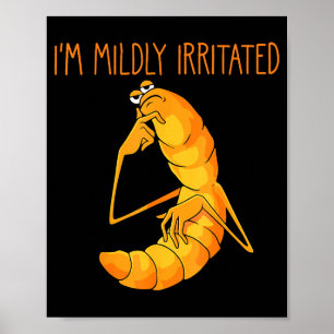 Poster Mème de ver drôle Je suis légèrement irrité Marcus
