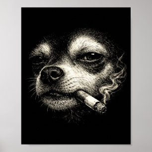 Poster Meme de visage de chihuahua drôle fumant une cigar
