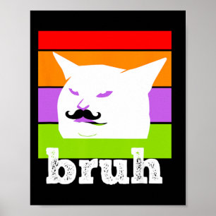 Poster Mème Drôle Dit Bruh Avec Cat-cinco De Mayo-mexi