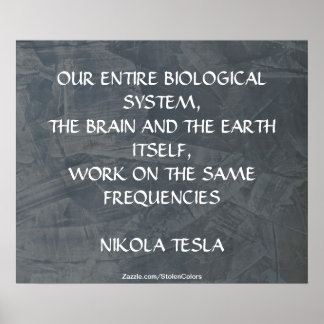 POSTER MÊME FRÉQUENCES - NIKOLA TESLA
