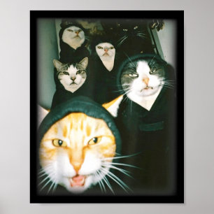 Poster Mème Gang de Chats Drôle Chats Chaotiques Félin Dé