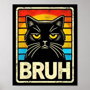 Poster Mème Graphique Drôle Cat Bruh Pour Garçons Filles