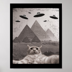 Poster Mème Ufo Chat - Selfie Chat Drôle Avec Ufos