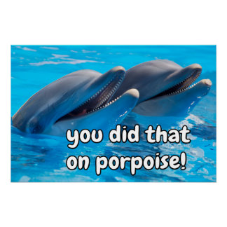 Poster Mèmes de marsouin drôle Porpoise amusant Citations