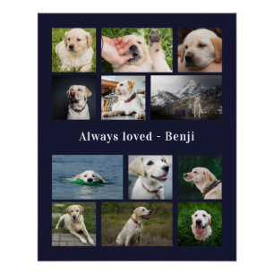 Poster Mémoire pour l'amour des animaux de compagnie