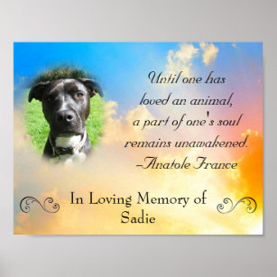 Cadeaux Perte D Une Citation Animal Familier Zazzle Ch