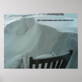 POSTER MENACE POUR LA VIE TEMPS HIVER 2019