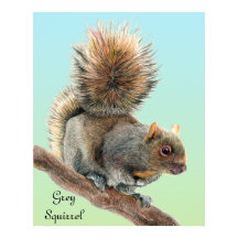 Mens Watercolor Wildlife Grey Squirel Watch