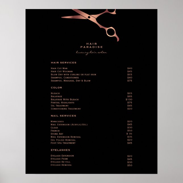 Poster Menu Prix du Salon des cheveux noirs (Devant)