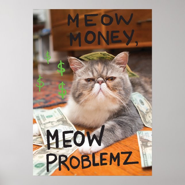 Poster Meow Money, Meow Problemz (Devant)