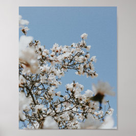 Poster mer à fleurs blanches